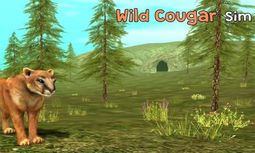 download Wild cougar sim 3D apk